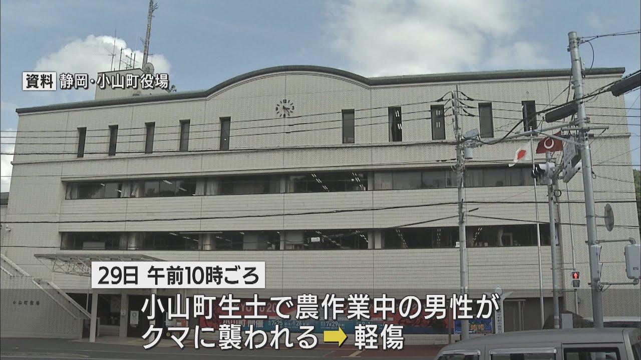 画像: 農作業中の男性がクマに襲われけが 静岡・小山町 youtu.be