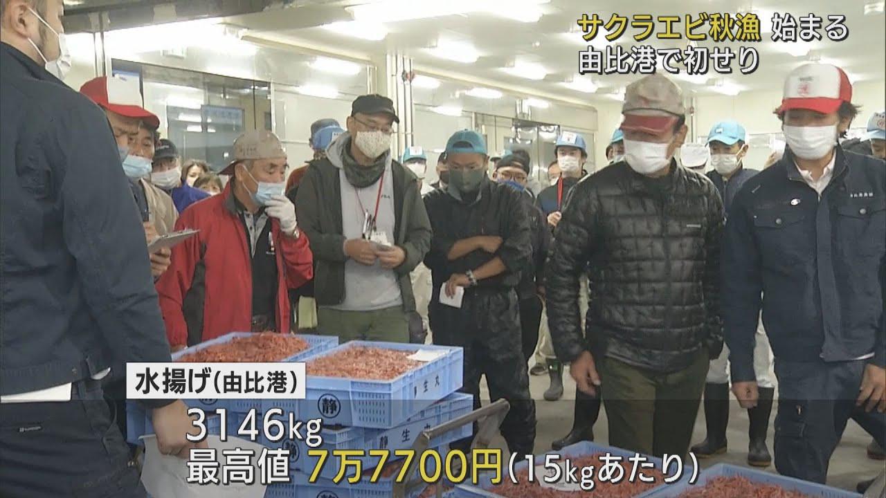 画像: 初日の水揚げ高は前年並 不漁続くサクラエビ 静岡・由比漁港で初せり youtu.be