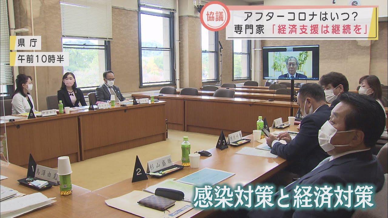 画像: 専門家「来年にもマスクなしに」 コロナ後を協議 静岡県議会 youtu.be