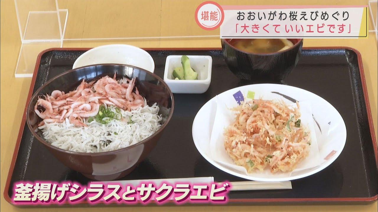 画像: サクラエビたっぷりの「大井川みなと丼」はいかが? 静岡・焼津市「おおいがわ桜えびめぐり」は12月19日まで youtu.be