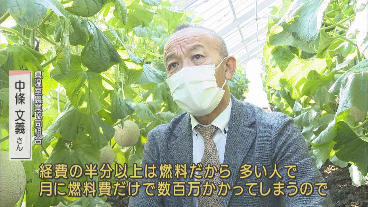 画像3: 【原油高の現場】　高級フルーツ・クラウンメロン　「経費の半分以上が燃料…多い人は月数百万円かかる」　静岡・袋井市