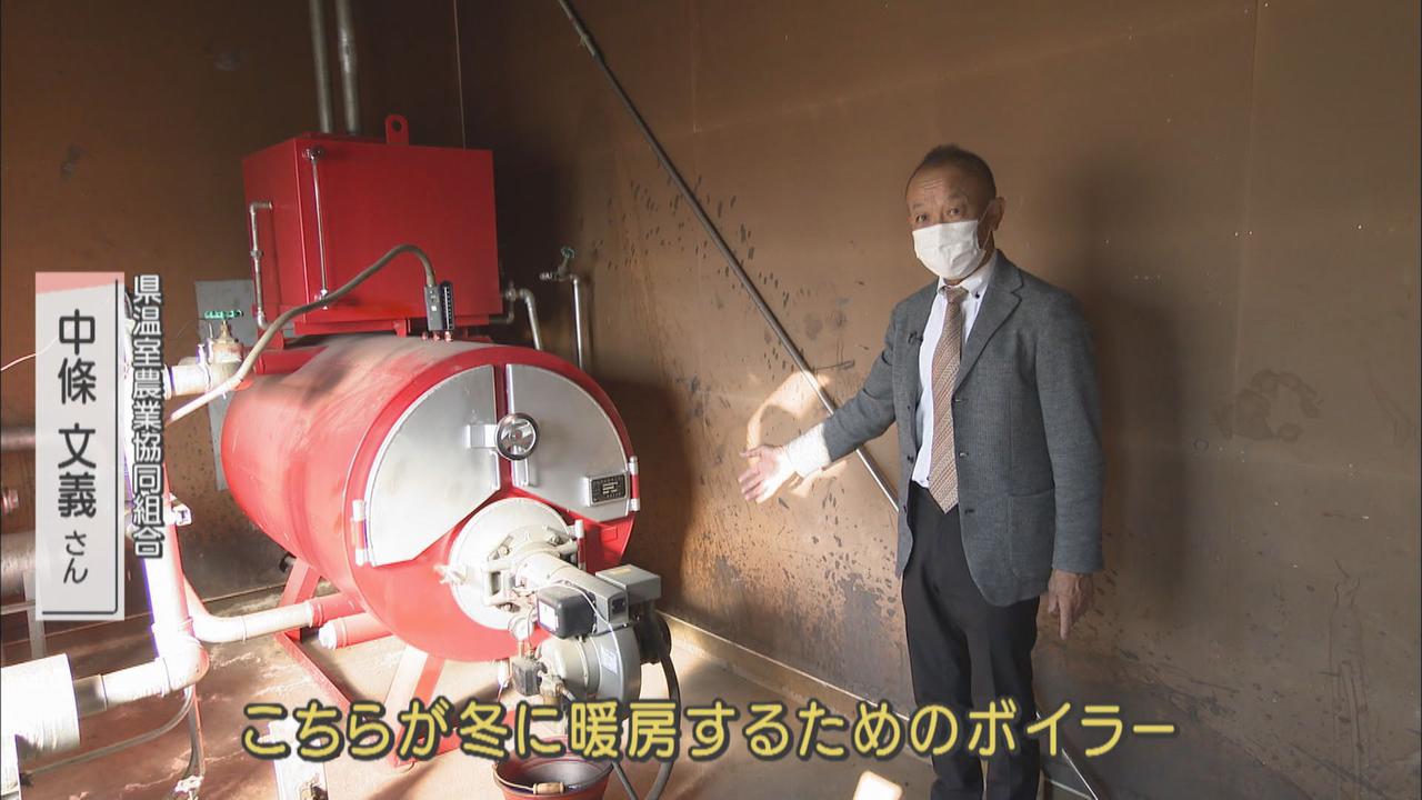 画像2: 【原油高の現場】　高級フルーツ・クラウンメロン　「経費の半分以上が燃料…多い人は月数百万円かかる」　静岡・袋井市
