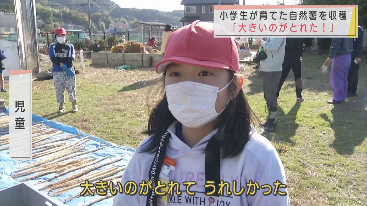 画像: 「大きいのが採れてうれしかった」小学生が自然薯の収穫体験　静岡・牧之原市
