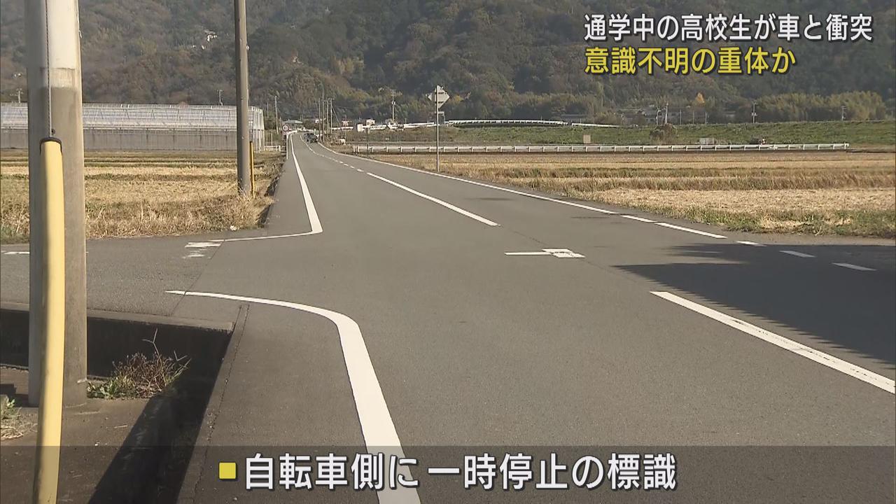 画像: 函南町柏谷（午前11時ごろ）