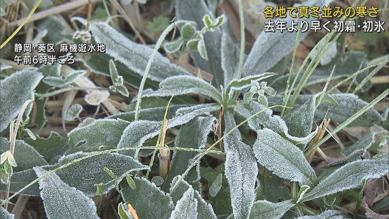 画像: 静岡県で初霜・初氷を観測　今シーズン一番の冷え込み　あすも寒さ続く youtu.be