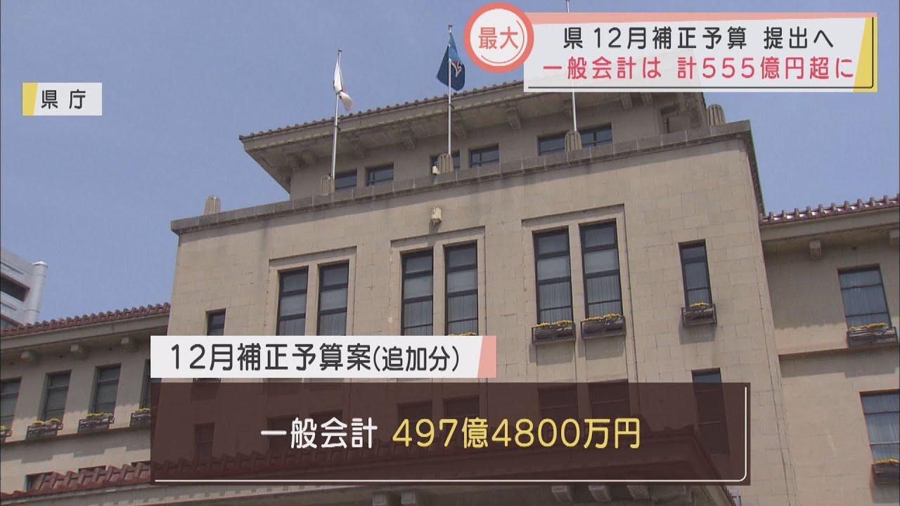 画像: 静岡県が補正予算497億円を追加提案 新型コロナ感染拡大防止策や防災減災対策など 12月としては過去最大 youtu.be