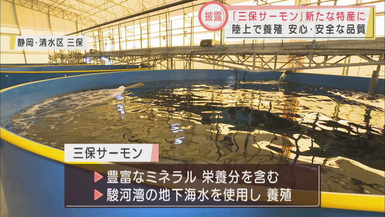 画像: 品質の秘密は「駿河湾地下海水」