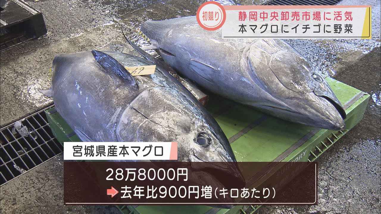 画像: 静岡市中央卸売市場で活況の初取引 マグロは去年よりも高値 野菜は値上がりと値下がりの明暗 youtu.be