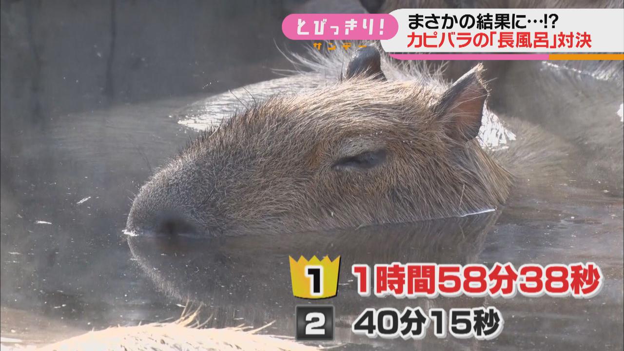 画像2: ５施設対抗の長風呂対決