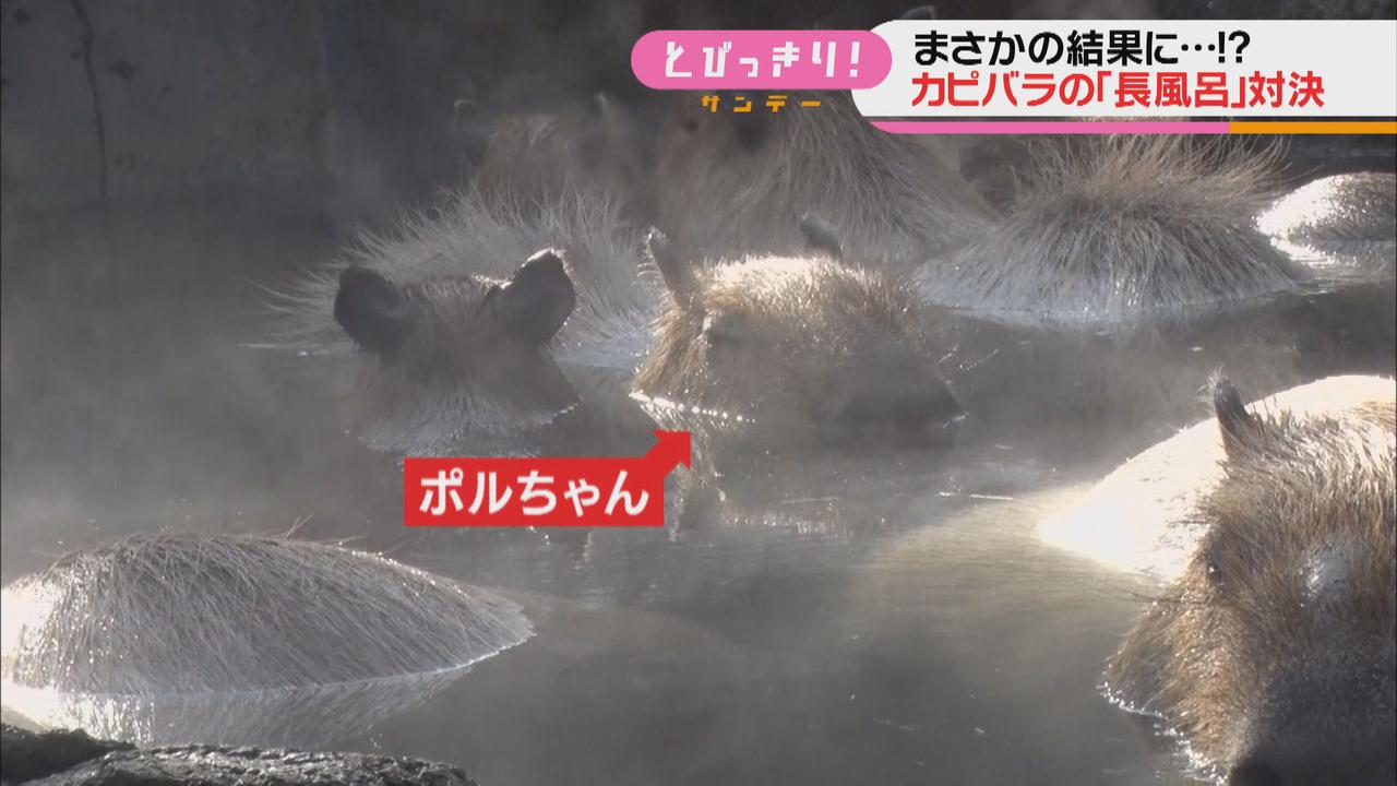 画像1: ５施設対抗の長風呂対決