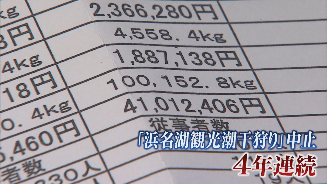 画像: こちらのアサリは不漁で激減 潮干狩りが4年連続で中止に 静岡・浜名湖 youtu.be