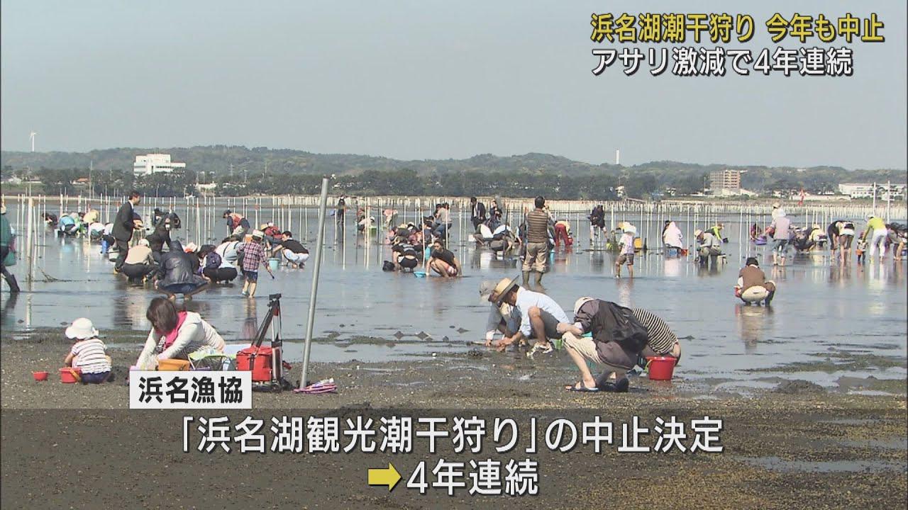 画像: 浜名湖の潮干狩り今年も中止 アサリ不漁続き漁獲量3年連続で過去最低に 静岡県 youtu.be