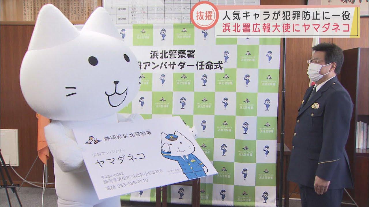 画像: 「知らない人について行っちゃ、だめニャー」　警察署の広報アンバサダーにヤマダネコ　浜松市・浜北警察署 youtu.be