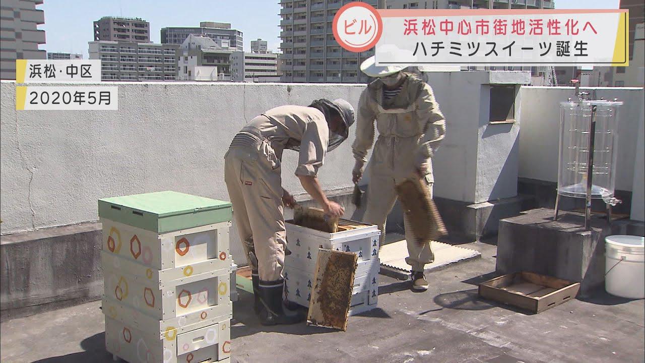 画像: ビルの屋上で採れたハチミツ 人気パティスリーやレスランで新スイーツが誕生 浜松市で期間限定販売 youtu.be