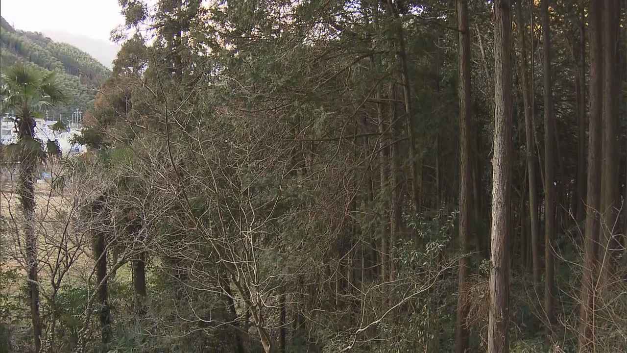 画像: 女性の遺体が見つかった山林　静岡市