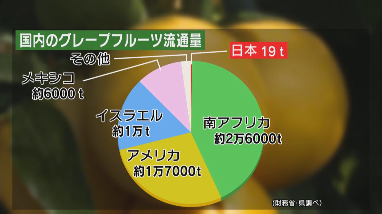 画像: 国産グレープフルーツは0.1%以下