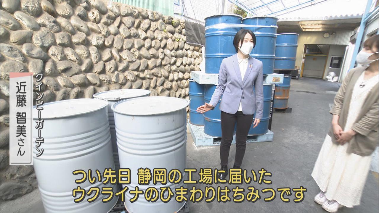画像: 届いたばかりのウクライナ産ひまわりハチミツ