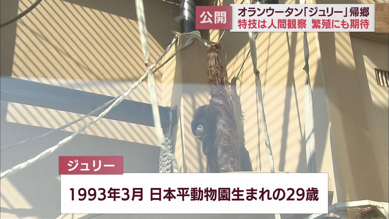 画像1: 特技は「人間観察」?
