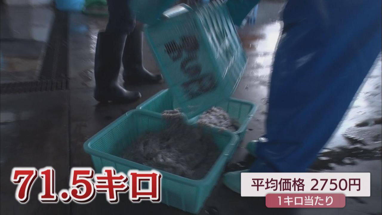 画像1: この日の価格は去年の２倍　仲買人「モノはいいけど高すぎ」