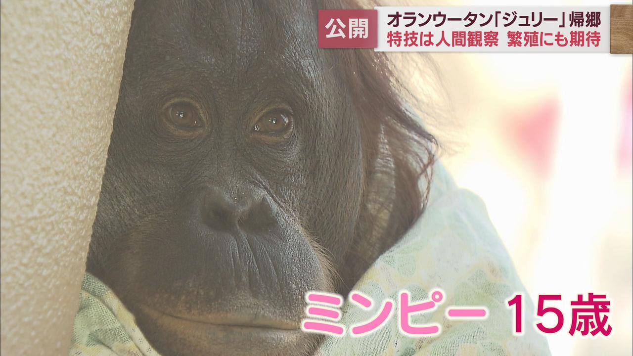 画像2: 特技は「人間観察」?