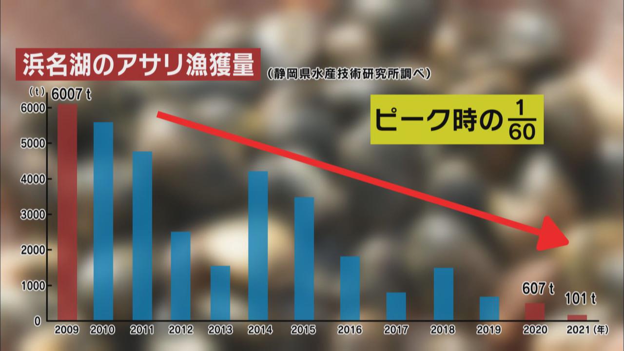 画像3: 漁獲量がピーク時の60分の1に