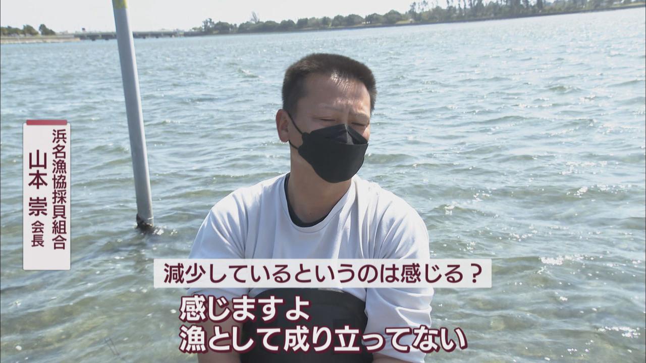 画像2: 漁獲量がピーク時の60分の1に