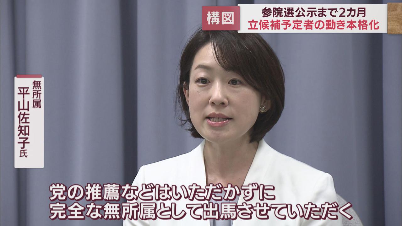 画像: 無所属　平山佐知子氏