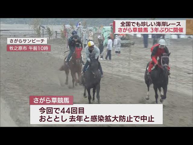 画像: 海岸の砂浜で39頭が疾走 3年ぶりに草競馬大会 静岡・牧之原市 youtu.be