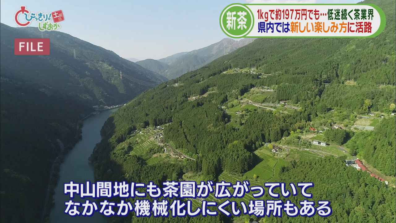 画像: 鹿児島は機械化 静岡は機械化しにくい場所も