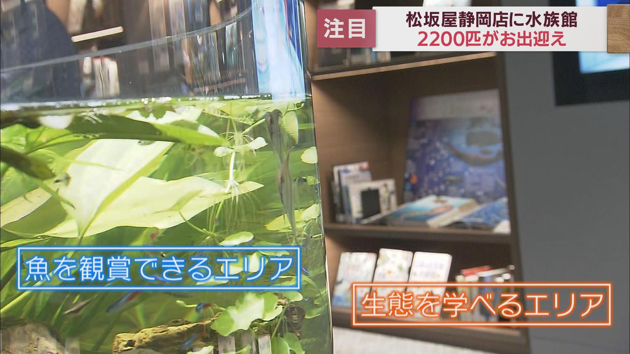 画像: 水族館がデパートに…