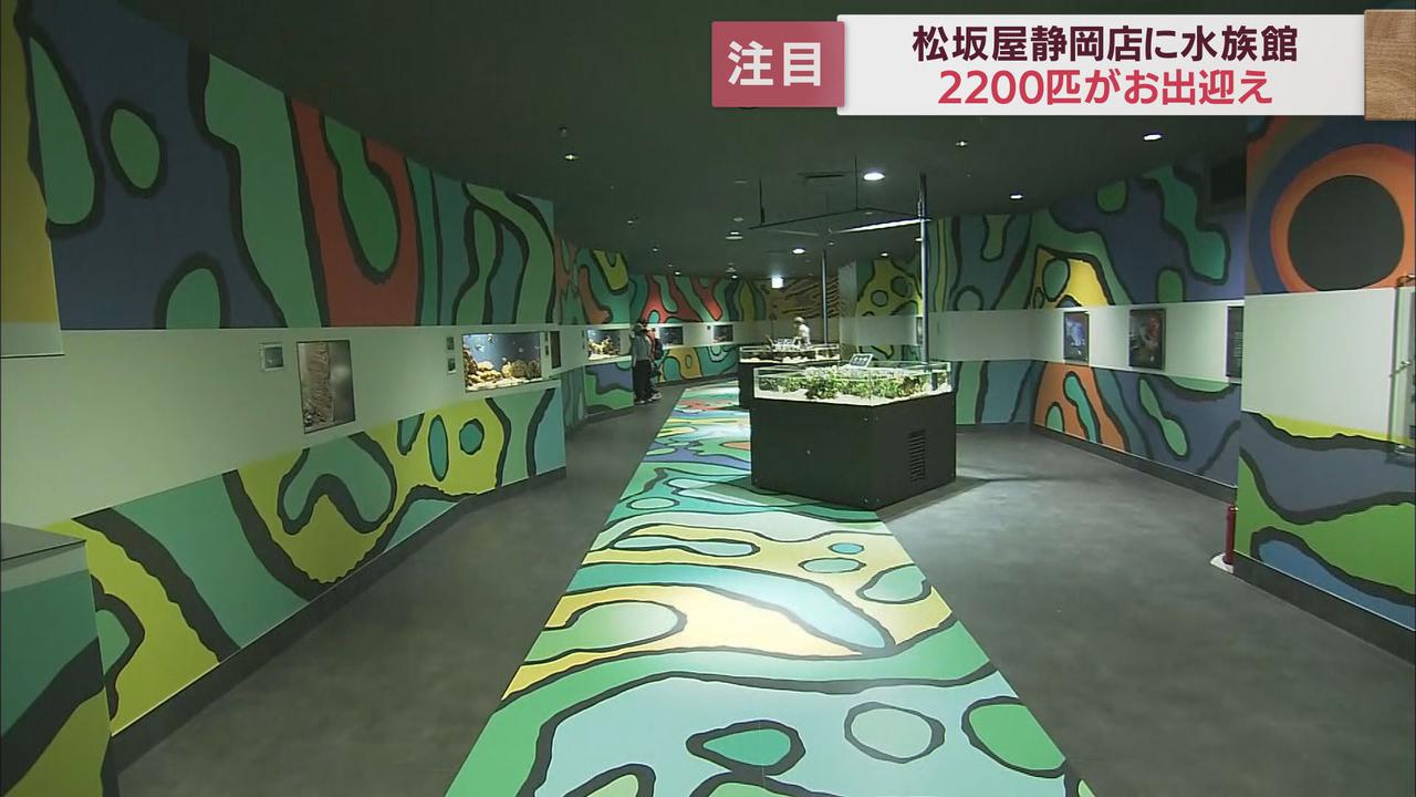 画像: 25年ぶりリニューアルの目玉は…