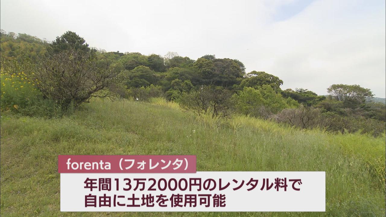 画像: 緑あふれる山もレンタル?