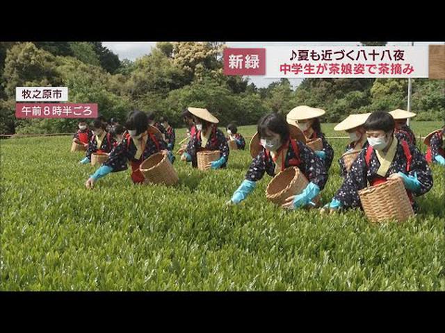 画像: 八十八夜の伝統行事 茶娘・茶息子姿の中学生が新茶の摘み取り 静岡・牧之原市 youtu.be