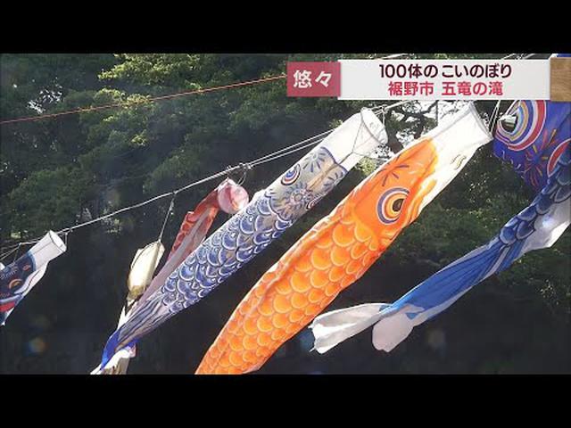 画像: 名勝「五竜の滝」にこいのぼり 色とりどり100体が優雅に大空泳ぐ 静岡・裾野市 youtu.be