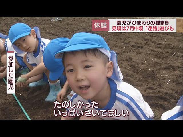画像: 幼稚園児がひまわりの種まき 地域の農業を未来につなぐプロジェクト 7月に10万本が咲く見込み 静岡・富士市 youtu.be