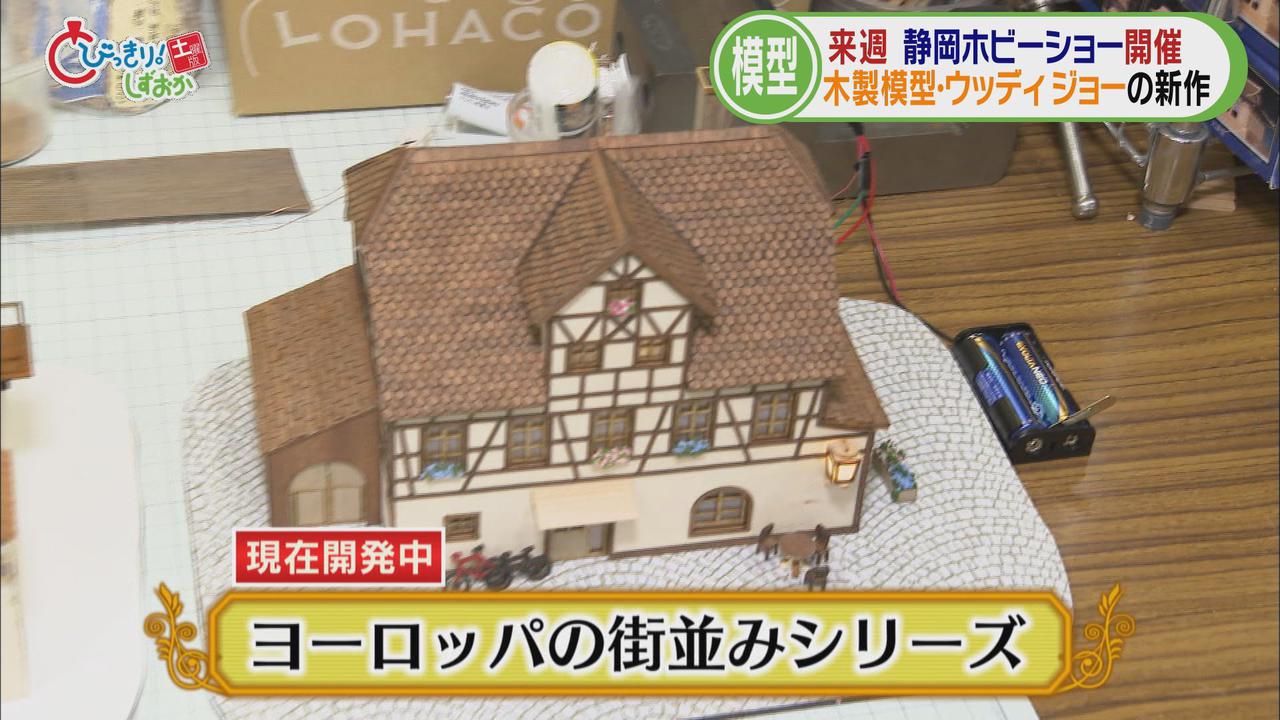 画像: 新企画「ヨーロッパの街並みシリーズ」を企画したワケは