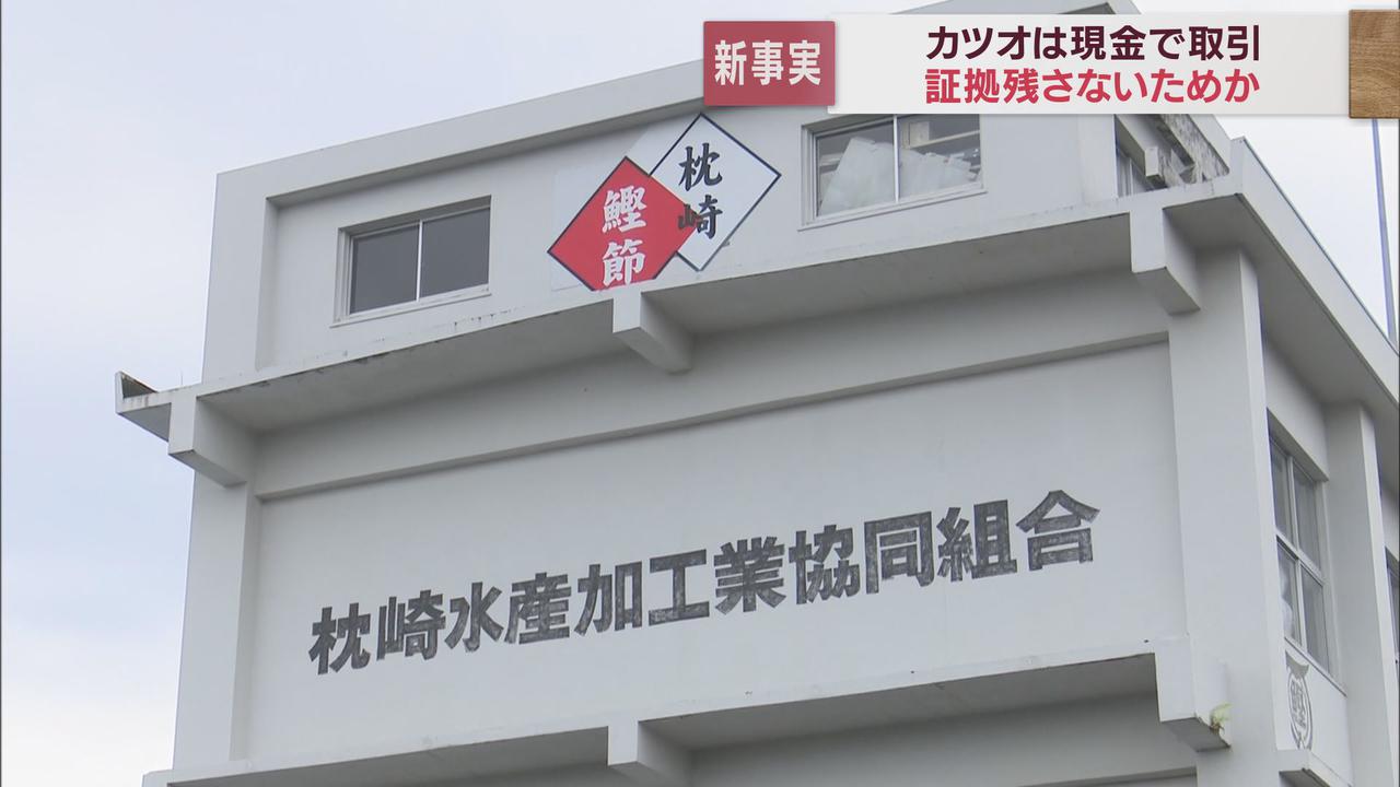 画像: 静岡と鹿児島 カツオ産地の声は…