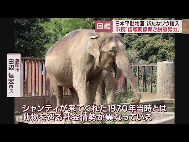 画像: 新たなゾウの輸入「非常に難しい」…静岡市長が見通し 動物福祉の観点、コロナ禍などが要因 日本平動物園 youtu.be