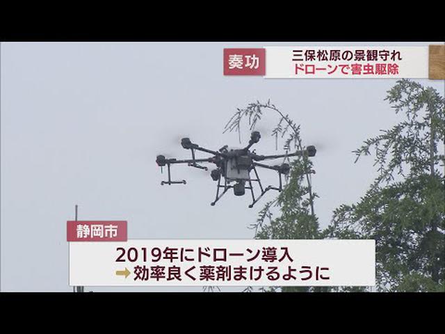 画像: 世界遺産の景観守れ　三保松原の松枯れ防止にドローンで薬剤散布　静岡・清水区 youtu.be