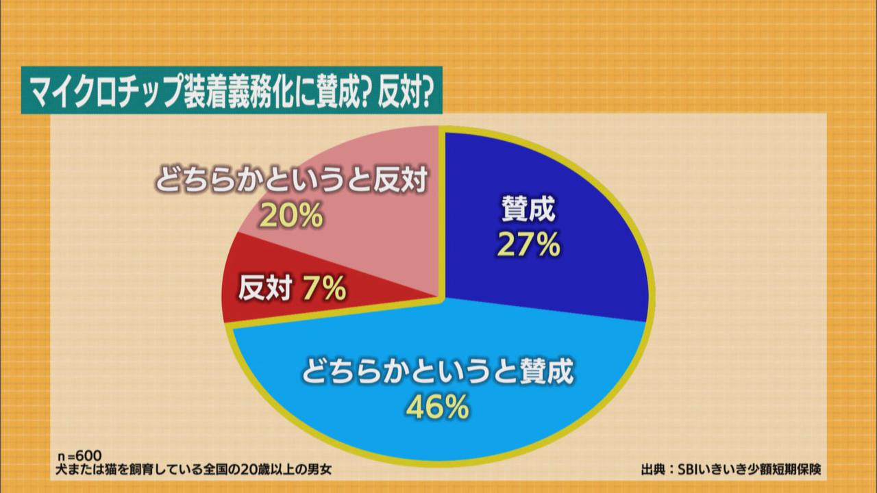 画像: 73%の飼い主が「賛成」「どちらかといえば賛成」