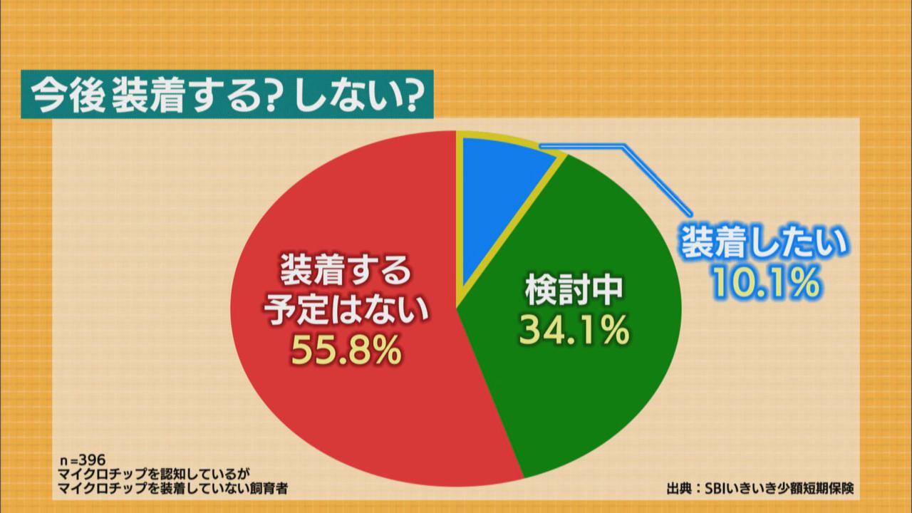 画像: 「装着したい」飼い主は10.1%
