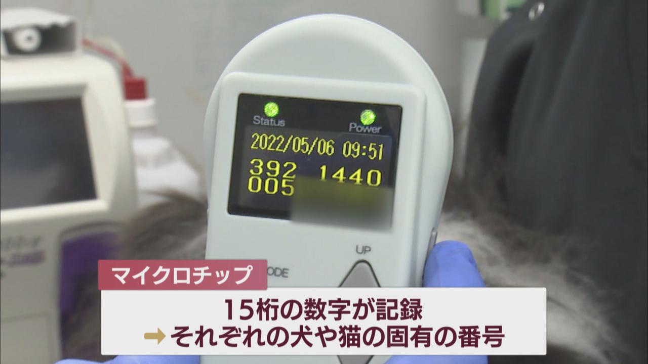 画像3: マイクロチップを挿入
