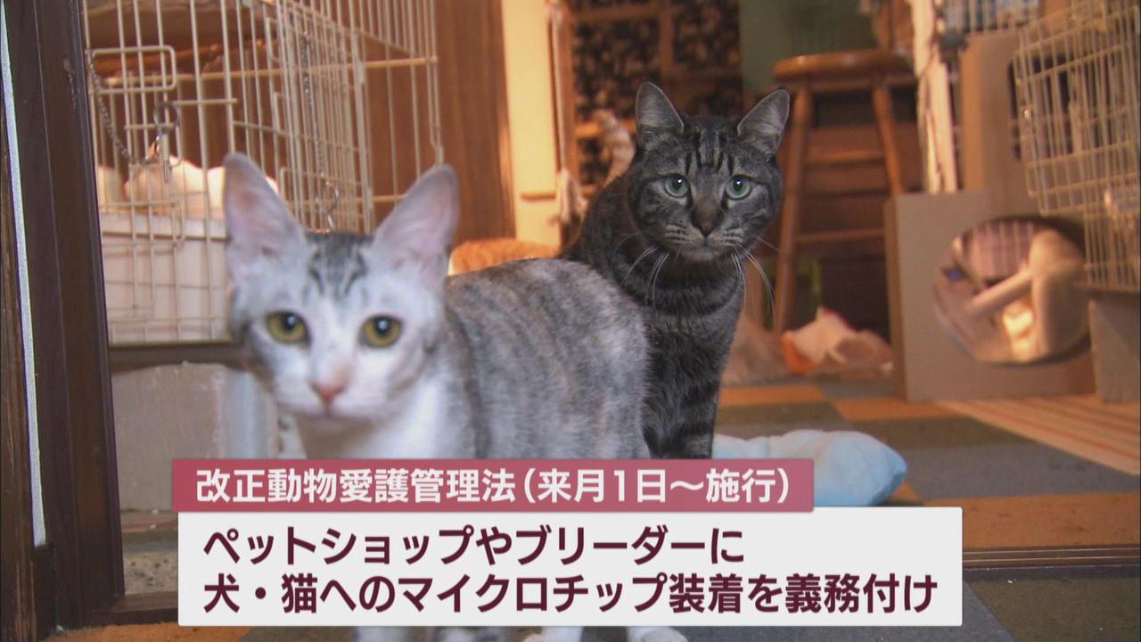 画像: きっかけは阪神大震災