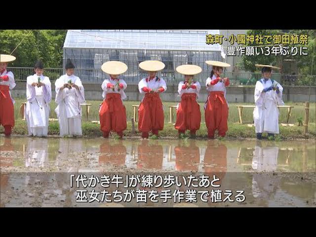 画像: ３年ぶりに豊作を祈願する御田植祭　巫女さんたちが田んぼに苗を…３４０年前からの神事　静岡・森町 youtu.be