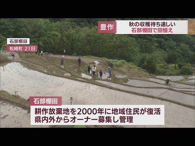 画像: 秋の豊作を願って…　棚田で田植え　耕作放棄地をオーナー募集で復活　静岡・松崎町 youtu.be