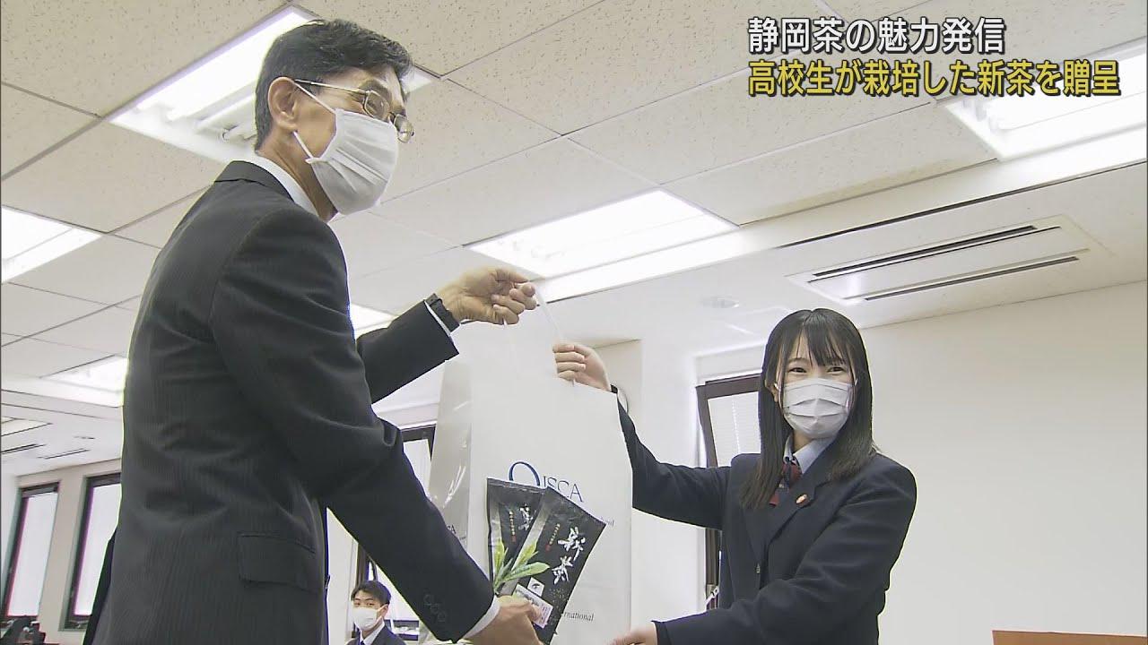 画像: 高校生が栽培・収穫した新茶を贈呈　「お茶の魅力をPRしたい」　浜松市・オイスカ浜松国際高校 youtu.be