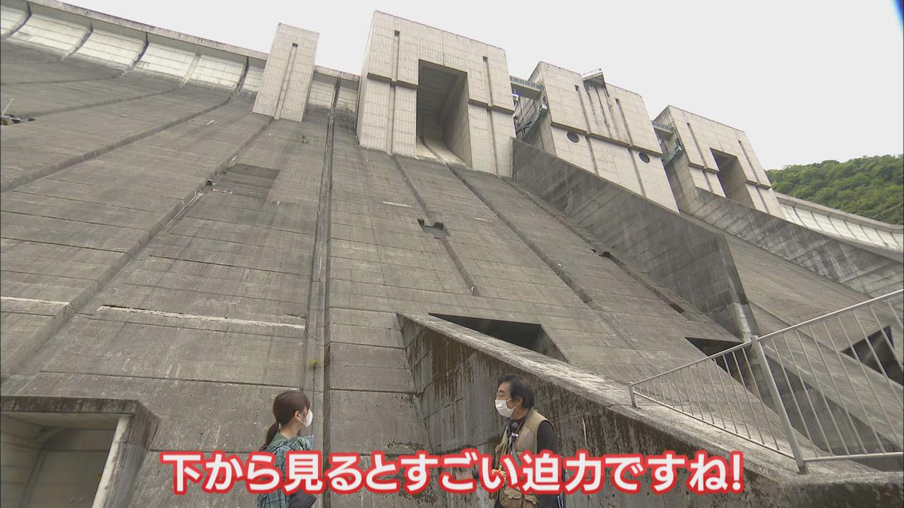 画像1: 【完全版】芸術的なトンネルにスタッフ全員が移住者のカフェ 「お茶の香りが広がる」スイーツも 川根本町新緑ウオーキング