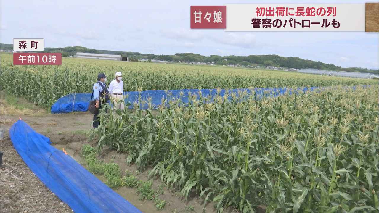 画像: 大雨にも負けず、眠気にも負けず…