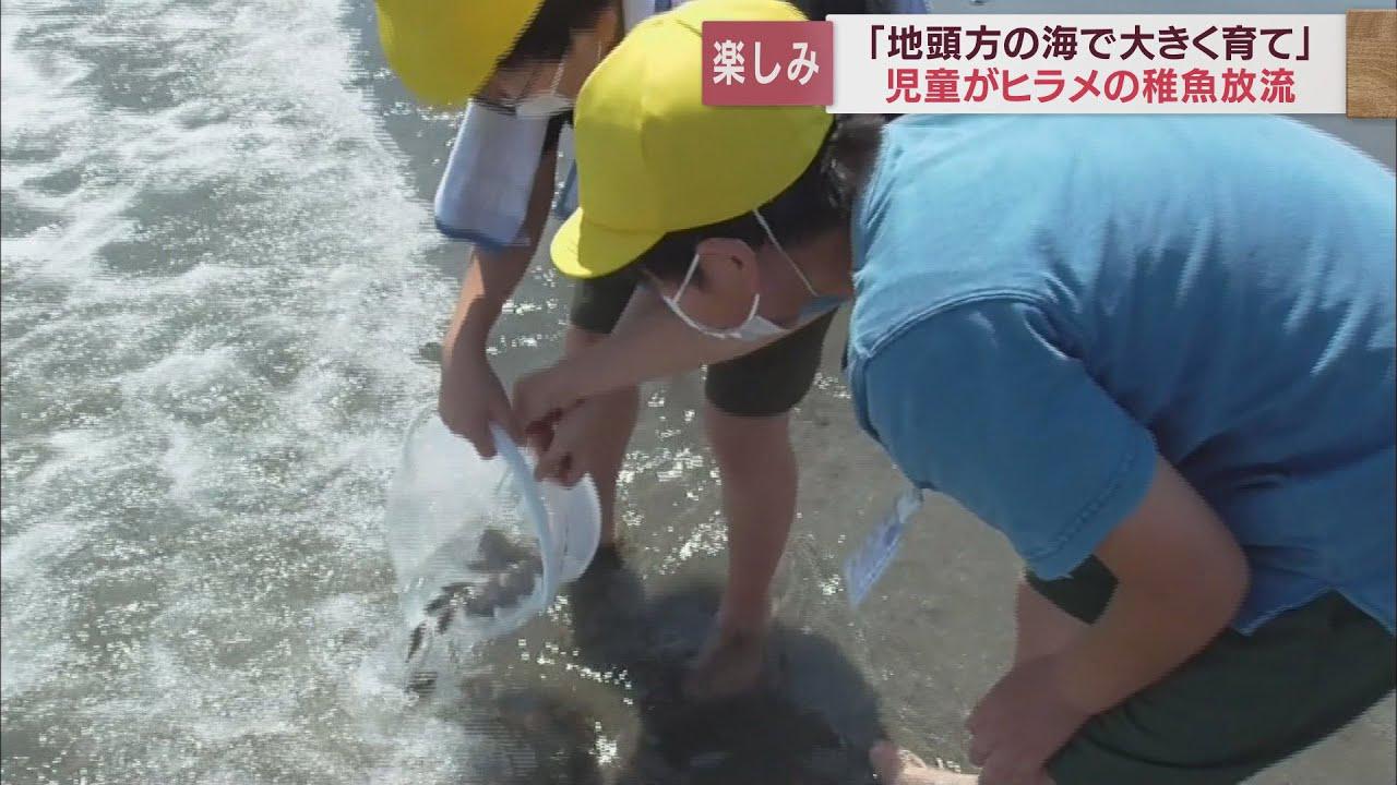 画像: 「元気に育ってね」 小学生がヒラメの稚魚3万5000匹を放流 静岡・牧之原市 youtu.be