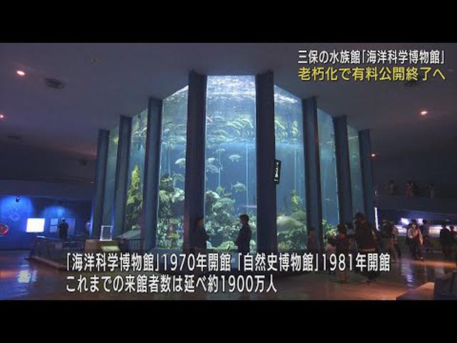 画像: 東海大学「海洋科学博物館」「自然史博物館」今年度いっぱいで閉館へ 学びの場として半世紀に渡り親しまれる 静岡市 youtu.be